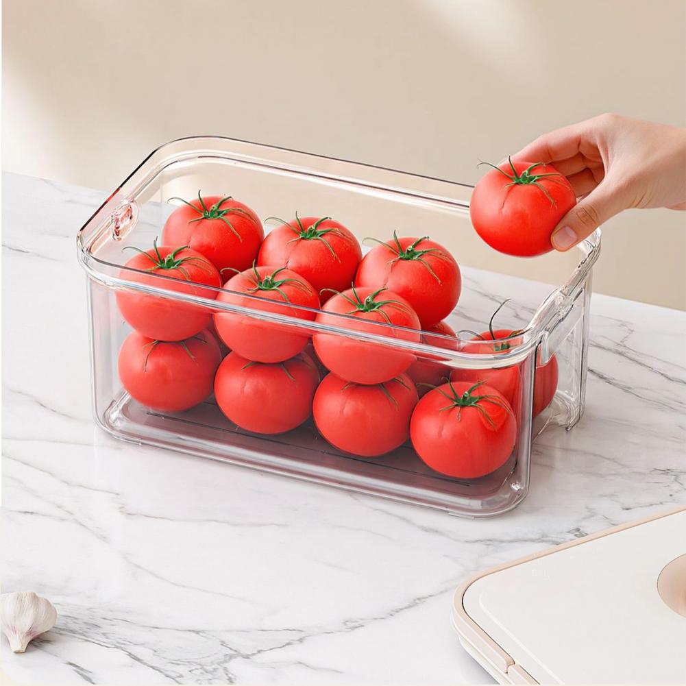 صندوق تخزين متعدد الطبقات قابل - مراجعة Food Storage Without Plastic وسعره